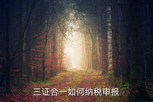三證合一用什么報稅，三證合一如何納稅申報