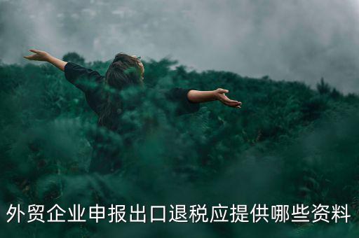 外貿(mào)企業(yè)申報出口退稅應(yīng)提供哪些資料