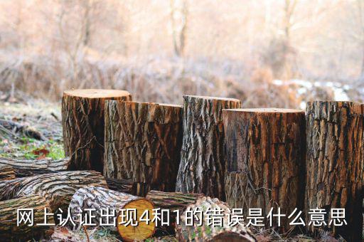 認(rèn)證發(fā)票4是什么問(wèn)題，認(rèn)證發(fā)票通常會(huì)碰到哪些問(wèn)題