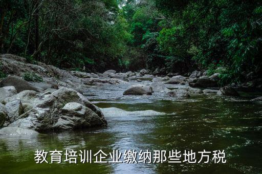 教育培訓(xùn)班要交什么稅，教育培訓(xùn)企業(yè)繳納那些地方稅