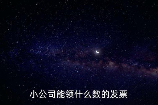 小公司能領什么數(shù)的發(fā)票