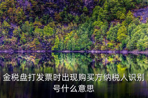 購貨方識別號是什么，開票方識別號是什么意思