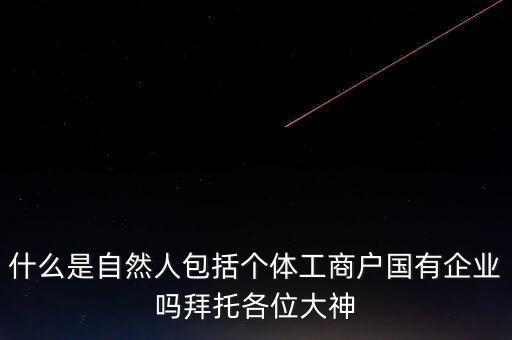 稅務(wù)上的自然人指的是什么，申請(qǐng)人為自然人的是什么意思