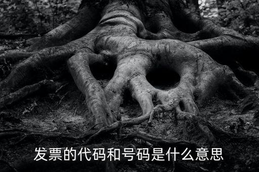 什么是打發(fā)票代碼，請(qǐng)教各位什么事發(fā)票代碼