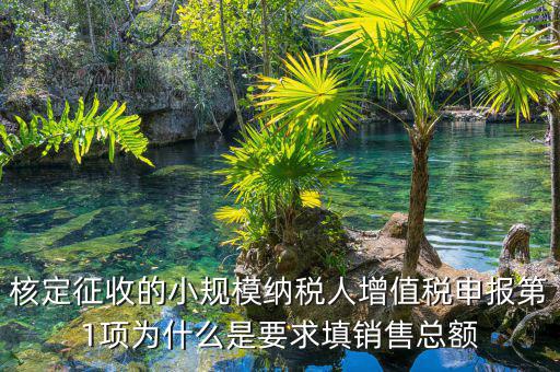 為什么要填增值稅申報(bào)，為什么公司老是要申報(bào)稅