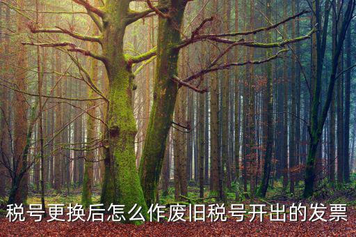 變稅號需要做什么，稅號更換后怎么作廢舊稅號開出的發(fā)票
