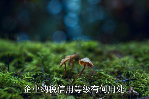 納稅等級(jí)有什么用，請問什么是分級(jí)別納稅信用單位怎么得到這種稱號(hào)得到了又有啥好