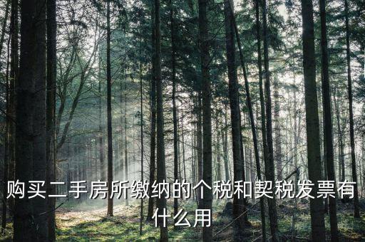 購買二手房所繳納的個(gè)稅和契稅發(fā)票有什么用