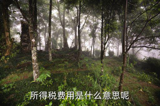所得稅支出什么意思，企業(yè)所得稅是什么意思