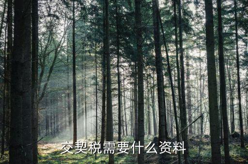 吉林市交契稅需要什么手續(xù)，交契稅需要什么資料