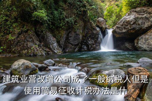 簡(jiǎn)易計(jì)稅法是什么，簡(jiǎn)易計(jì)稅法開(kāi)具的是增值稅普通發(fā)票嗎