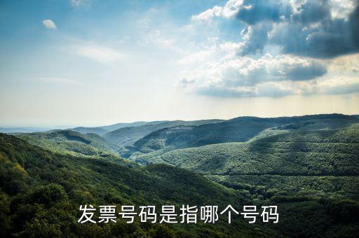 什么是發(fā)票的查詢號，發(fā)票號碼是指哪個(gè)號碼