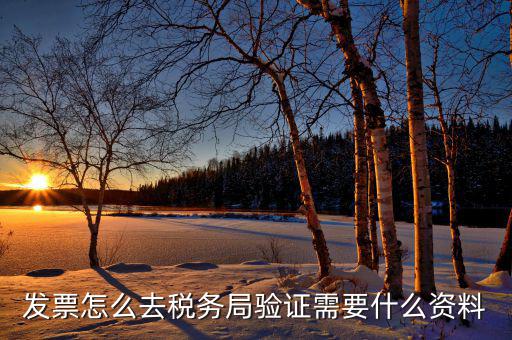 到稅務局認證發(fā)票需要帶什么，去稅務局認證發(fā)票需要帶什么資料呢