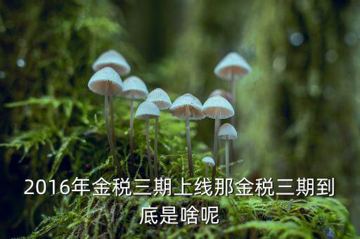 金稅三期雙軌是什么，金稅三期是什么意思