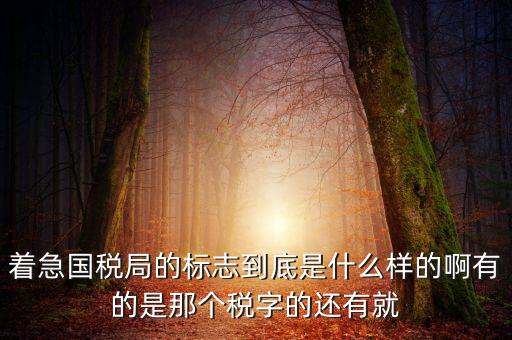 著急國稅局的標(biāo)志到底是什么樣的啊有的是那個(gè)稅字的還有就