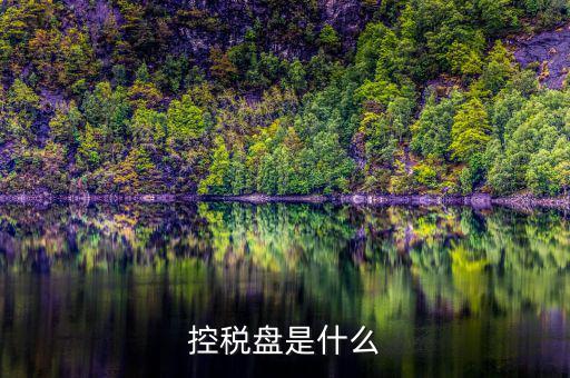 什么是金稅盤 什么是稅控盤，稅控盤的介紹