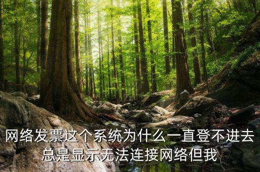 網(wǎng)絡(luò)發(fā)票 登錄密碼是什么情況，樂稅社區(qū)稅友咨詢問題增值稅發(fā)票查詢平臺登錄密碼是什么