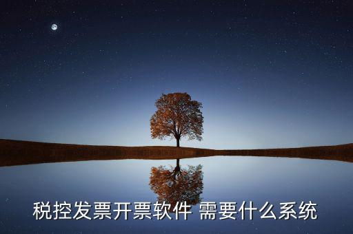 稅務(wù)開票系統(tǒng)都有什么，什么是開票系統(tǒng)小規(guī)模納稅人有裝開票系統(tǒng)嗎在線等謝謝