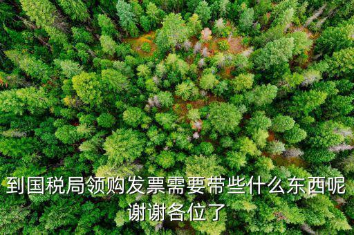 到國稅局領購發(fā)票需要帶些什么東西呢謝謝各位了