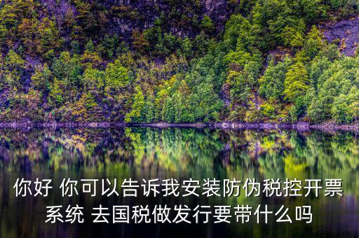 稅控發(fā)行是要做什么，稅控盤發(fā)行都呆哪些東西去稅務局需要法人去嗎