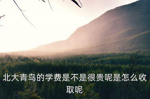 國(guó)稅局安靜工程是什么，北大青鳥(niǎo)的學(xué)費(fèi)是不是很貴呢是怎么收取呢
