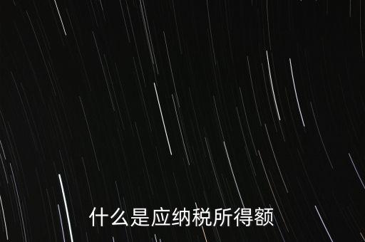 什么是年應納稅所得額，什么是應納稅所得額
