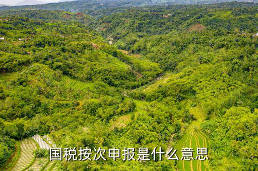按次申報是什么意思，此納稅人為按次申報請修改認定信息是什么意思