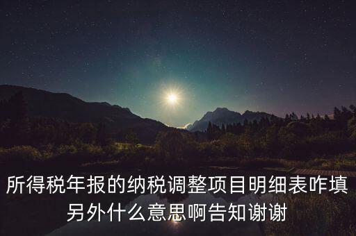 納稅調(diào)整項目明細表是什么意思，稅后調(diào)整是什么意思
