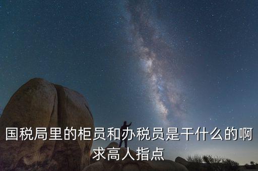 國稅志愿者可以做什么，國稅局里的柜員和辦稅員是干什么的啊求高人指點(diǎn)