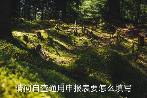 通用申報表要填什么，請問自查通用申報表要怎么填寫