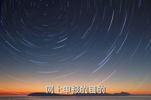 電子化辦稅什么意思，網(wǎng)上申報(bào)的目的