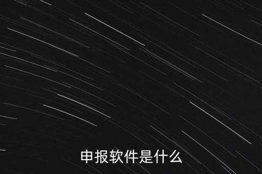 增值稅申報用什么軟件，申報軟件是什么