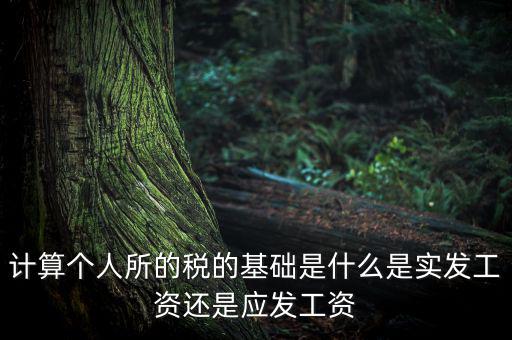 稅金的計算基礎(chǔ)是什么，計稅基礎(chǔ)是什么意思
