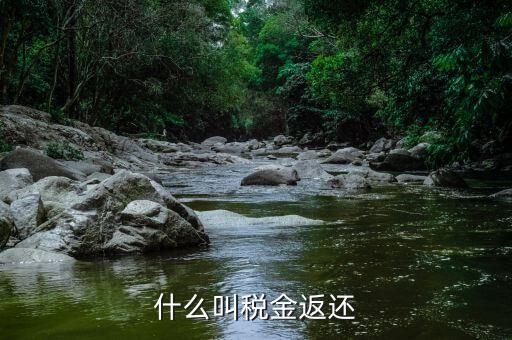 稅收退還的協(xié)議叫什么，什么是稅費(fèi)返還