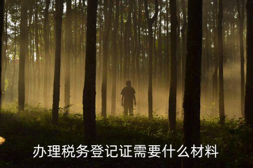 辦理稅務登記證需要什么材料