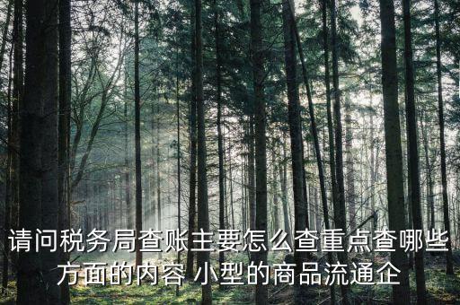 重點(diǎn)稅源稅務(wù)局看什么，稅務(wù)局主要看報(bào)表的什么