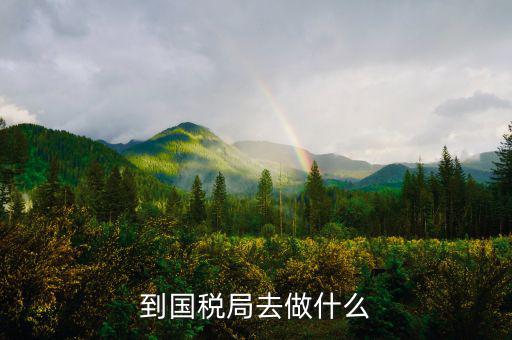 國稅局什么工作，國稅是做什么工作的