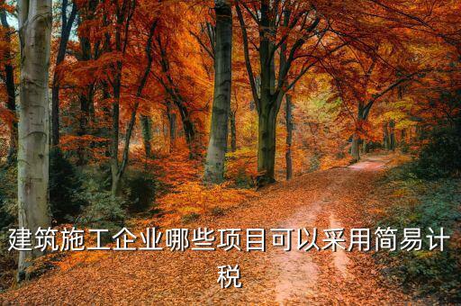什么行業(yè)適合簡易征收，建筑行業(yè)什么情況下可以選擇簡易征收