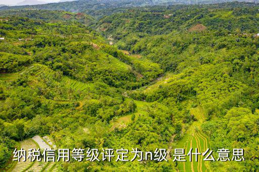 納稅信用等級b級是什么意思，納稅信用等級評定為n級 是什么意思