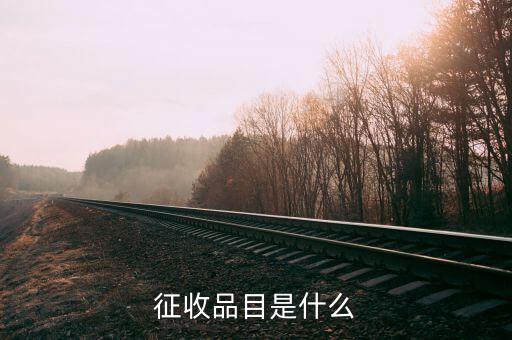 所得稅品目名稱是什么，請問個人所得稅的全稱是什么謝謝