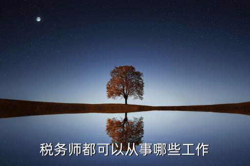 稅務師都可以從事哪些工作