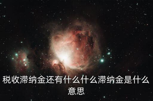 地稅滯納金是什么意思，稅收滯納金還有什么什么滯納金是什么意思