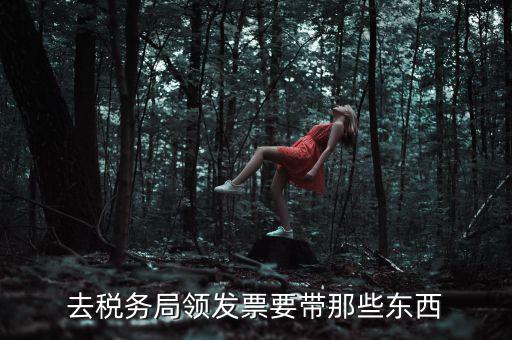 國(guó)稅領(lǐng)取發(fā)票需要帶什么，去國(guó)稅局領(lǐng)發(fā)票要帶什么