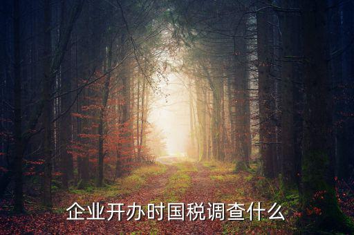 國(guó)稅稅收調(diào)查調(diào)查什么，國(guó)稅三稅調(diào)查是指哪三稅