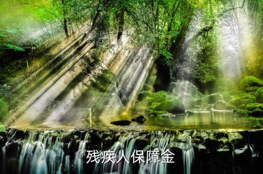 殘疾人保證金是什么，殘疾人保障金