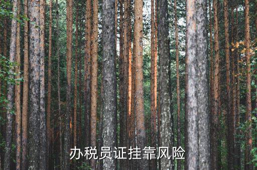 實(shí)名辦稅員有什么風(fēng)險(xiǎn)，里面有個(gè)辦稅人要填我的名字會(huì)不會(huì)付法律責(zé)任有什么風(fēng)險(xiǎn)沒(méi)