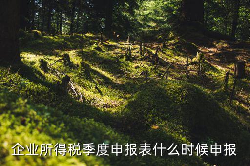 季度稅是在什么時(shí)候報(bào)，年度季度企業(yè)所得稅申報(bào)時(shí)間
