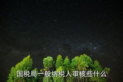 國稅審查企業(yè)些什么，國稅局一般納稅人審核些什么