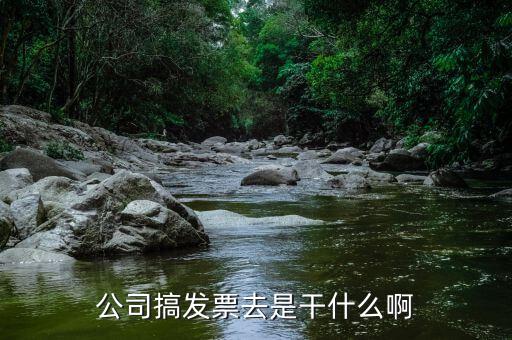 公司外購發(fā)票干什么，公司搞發(fā)票去是干什么啊