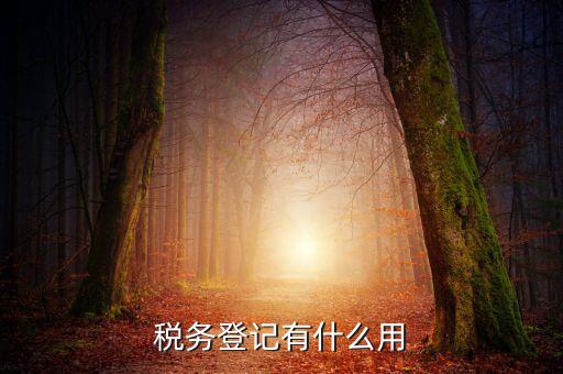 有稅務(wù)登記有什么好，稅務(wù)登記有什么用